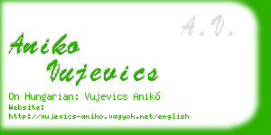aniko vujevics business card